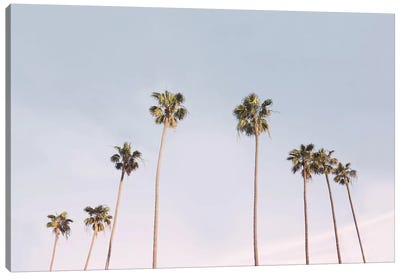 California Trees Canvas Art Print - Beach Vibes