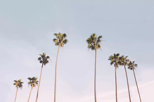 Tropical Living Room: California Trees by Sisi & Seb