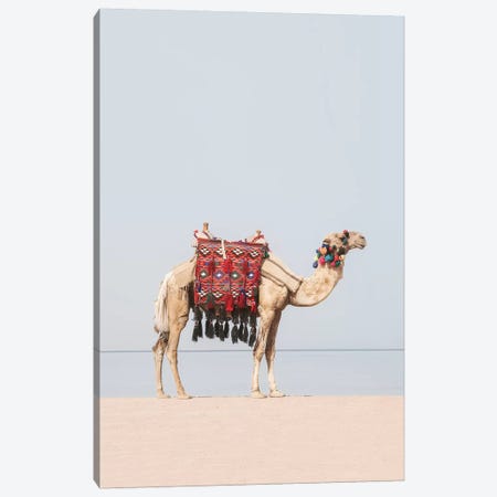Camel in the Desert Canvas Print #SSE57} by Sisi & Seb Canvas Art Print