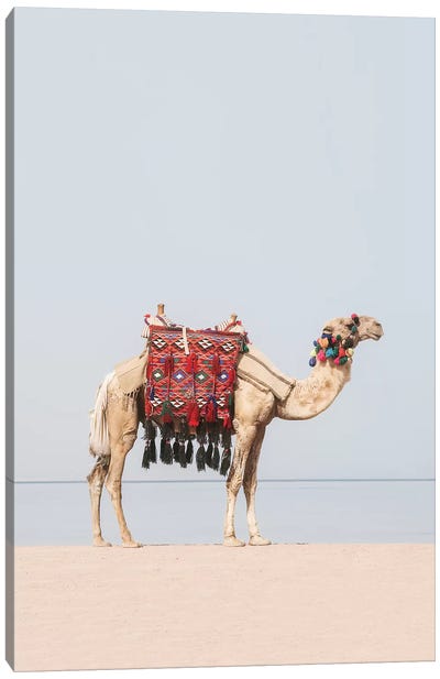 Camel in the Desert Canvas Art Print - Middle Eastern Décor