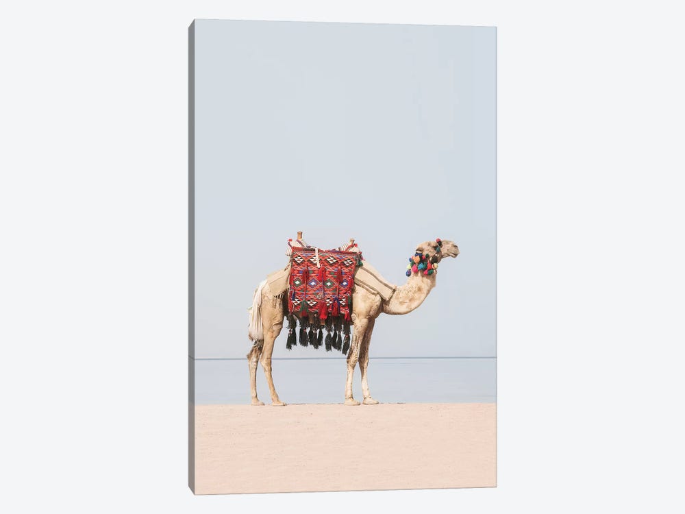 Camel in the Desert by Sisi & Seb 1-piece Canvas Wall Art