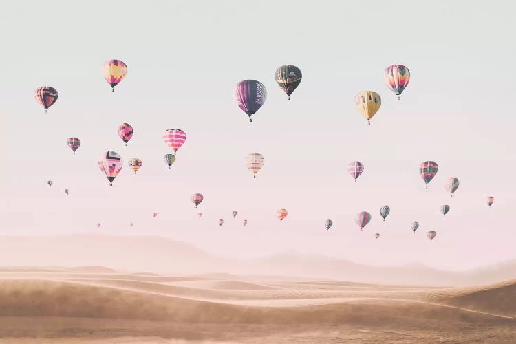 Air Balloons  by Sisi & Seb wall art