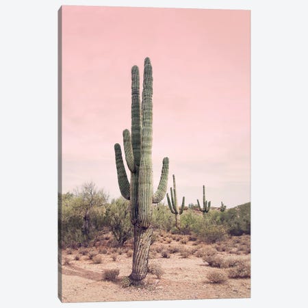 Desert Cactus Blush Canvas Print #SSE60} by Sisi & Seb Canvas Print