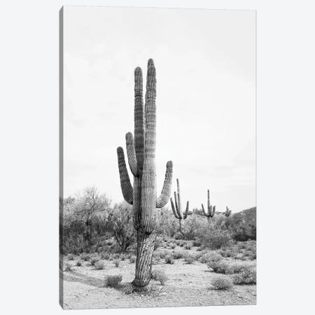 Desert Cactus In Black & White Canvas Print #SSE61} by Sisi & Seb Canvas Print