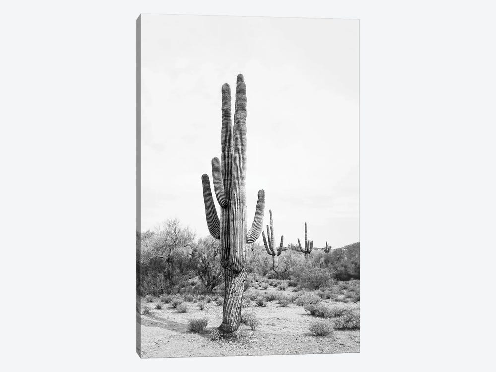 Desert Cactus In Black & White by Sisi & Seb 1-piece Canvas Print