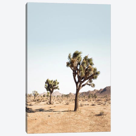 Desert Tree Canvas Print #SSE62} by Sisi & Seb Art Print