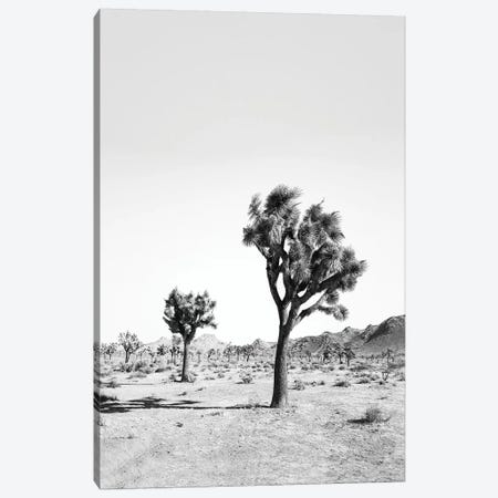 Desert Tree In Black & White Canvas Print #SSE63} by Sisi & Seb Art Print