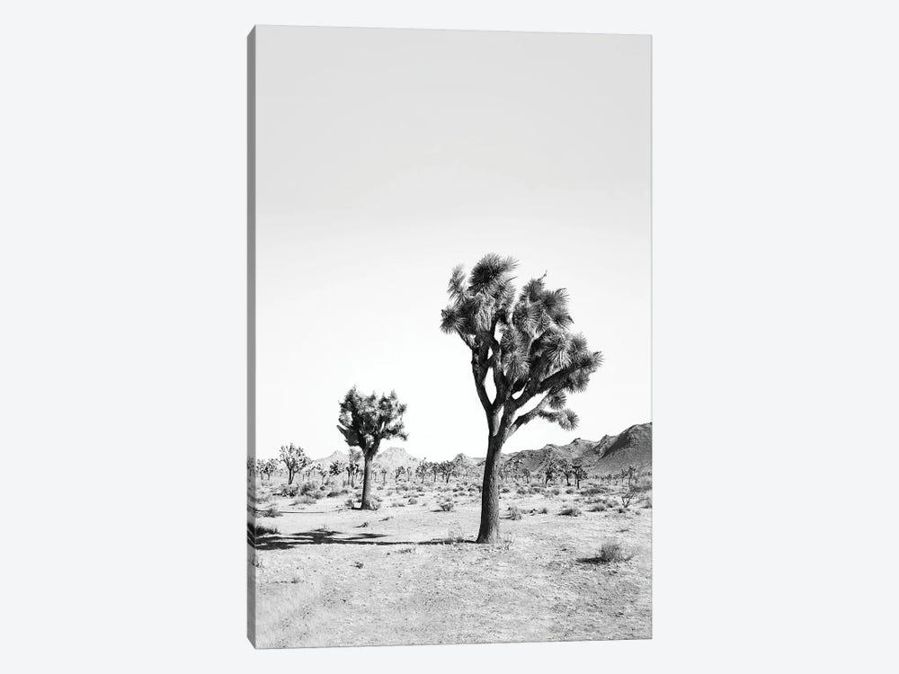 Desert Tree In Black & White by Sisi & Seb 1-piece Art Print