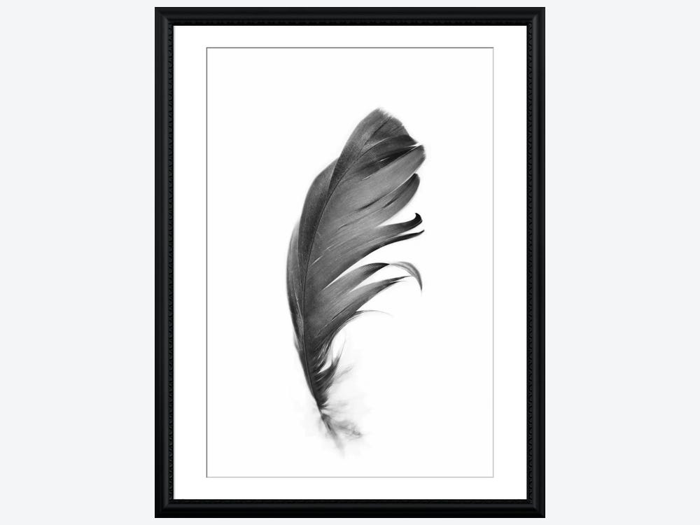 Red Feathers Pop Art: Canvas Prints, Frames & Posters