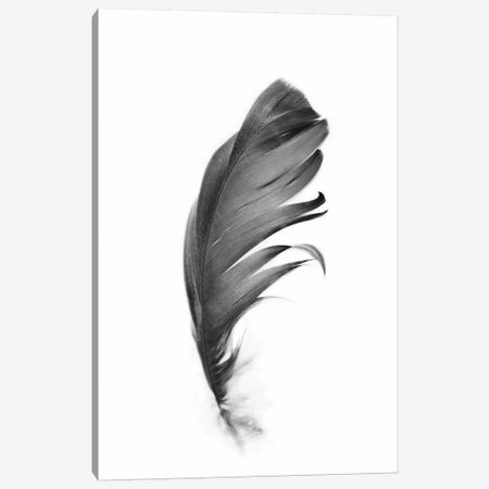 Feather Canvas Print #SSE68} by Sisi & Seb Canvas Print