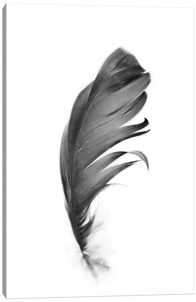 Feather Canvas Art Print - Scandinavian Décor