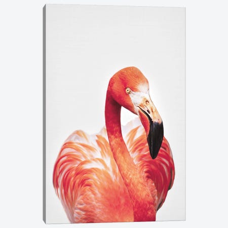 Flamingo Canvas Print #SSE71} by Sisi & Seb Canvas Art