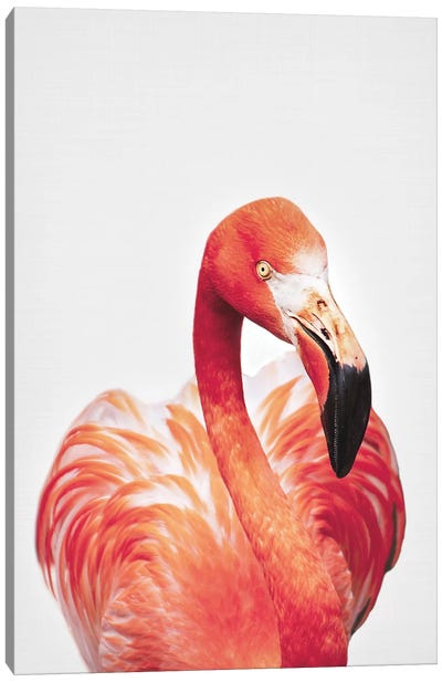 Flamingo Canvas Art Print - Sisi & Seb