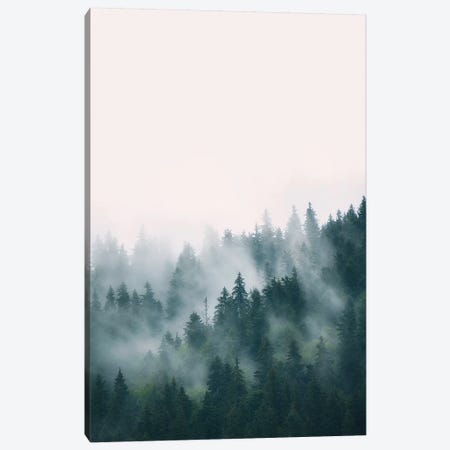 Forest Canvas Print #SSE74} by Sisi & Seb Canvas Print