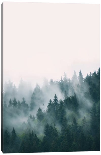 Forest Canvas Art Print - Green with Envy