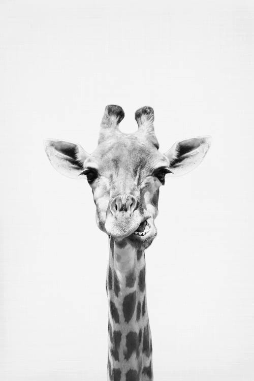 Giraffe by Sisi & Seb wall art