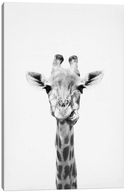 Giraffe Canvas Art Print - Black & White Animal Art