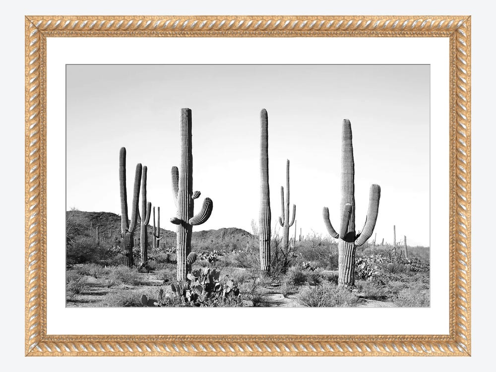 Four Hands Cactus Garden Photography Print on Maple Box Framed Wall Art