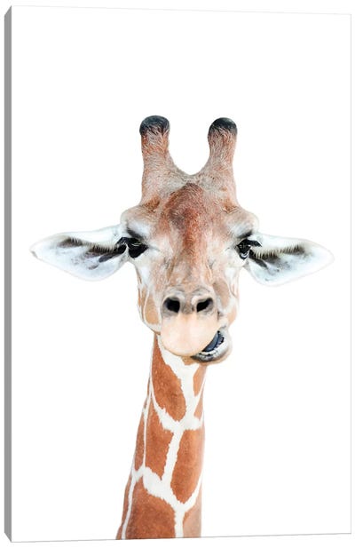 Happy Giraffe Canvas Art Print - Nursery Room Art