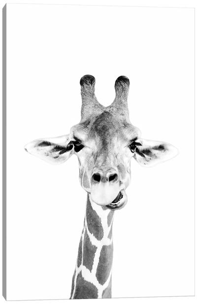 Happy Giraffe In Black & White Canvas Art Print - Animal Humor Art
