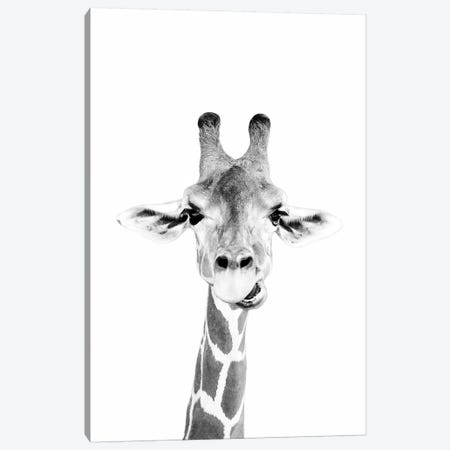 Happy Giraffe In Black & White Canvas Print #SSE84} by Sisi & Seb Canvas Artwork