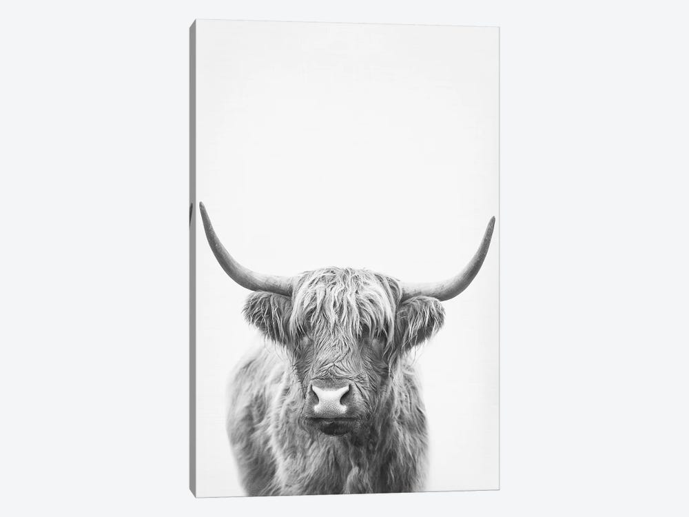 Highland Bull II by Sisi & Seb 1-piece Art Print