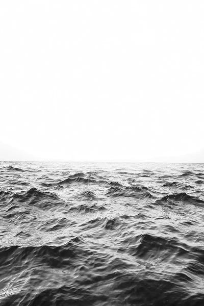 Horizon In Black & White