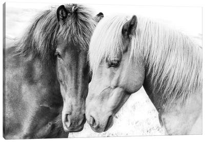 Horse Love Canvas Art Print - Neutrals