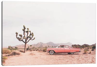 In the desert Canvas Art Print - Vintage Styled Photography