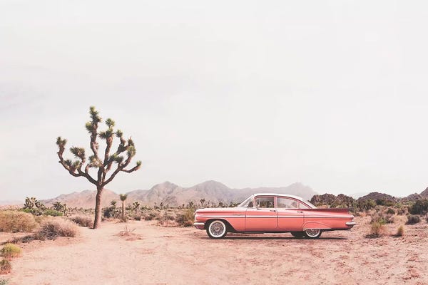 Sisi & Seb: In the desert by Sisi & Seb