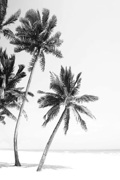 Tropical Living Room: Island by Sisi & Seb