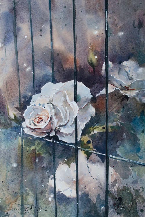 Beauty Of Freedom by Svetlin Sofroniev wall art