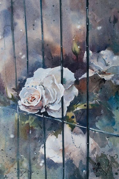 Fine Art Print: Beauty Of Freedom by Svetlin Sofroniev