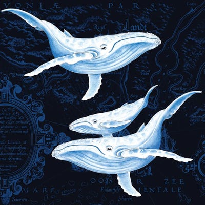 Blue Whales Family Vintage Map Indigo by Seven Sirens Studios gallery poster