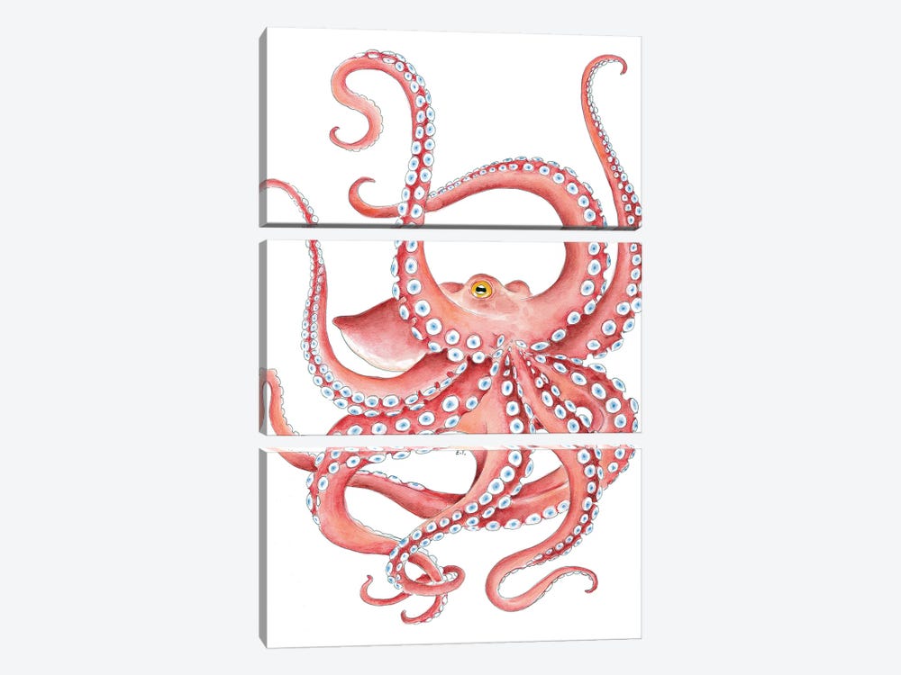 Red Octopus Dance Watercolor Art by Seven Sirens Studios 3-piece Canvas Art Print