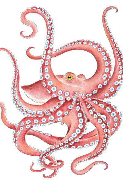 Seven Sirens Studios: Red Octopus Dance Watercolor Art by Seven Sirens Studios