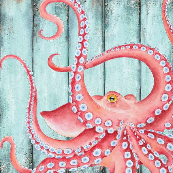 Octopi: Red Octopus Teal Wood Shabby Chic by Seven Sirens Studios