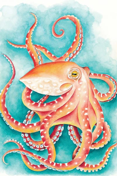 Seven Sirens Studios: Orange Red Octopus Teal Watercolor Art by Seven Sirens Studios
