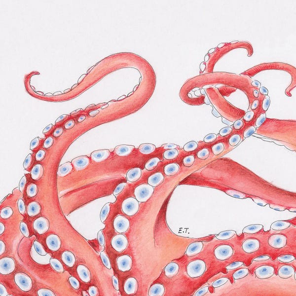 Red Tentacles On White Watercolor Art