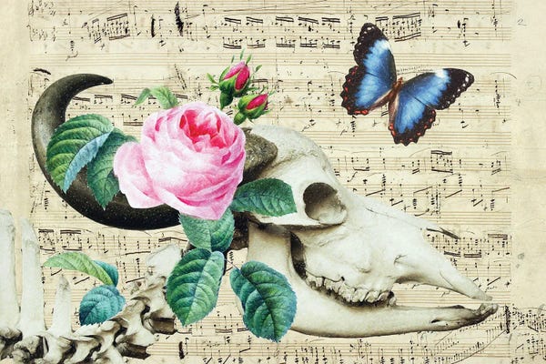 Music Notes: Cow Sugar Skull Floral Music by Seven Sirens Studios