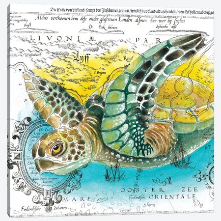 Sea Turtle Vintage Map Watercolor Canvas Print #SSI109} by Seven Sirens Studios Canvas Print