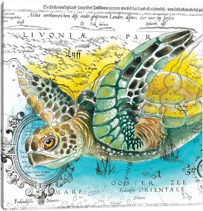 Sea Turtle Vintage Map Watercolor Canvas Art Print - Nautical Maps