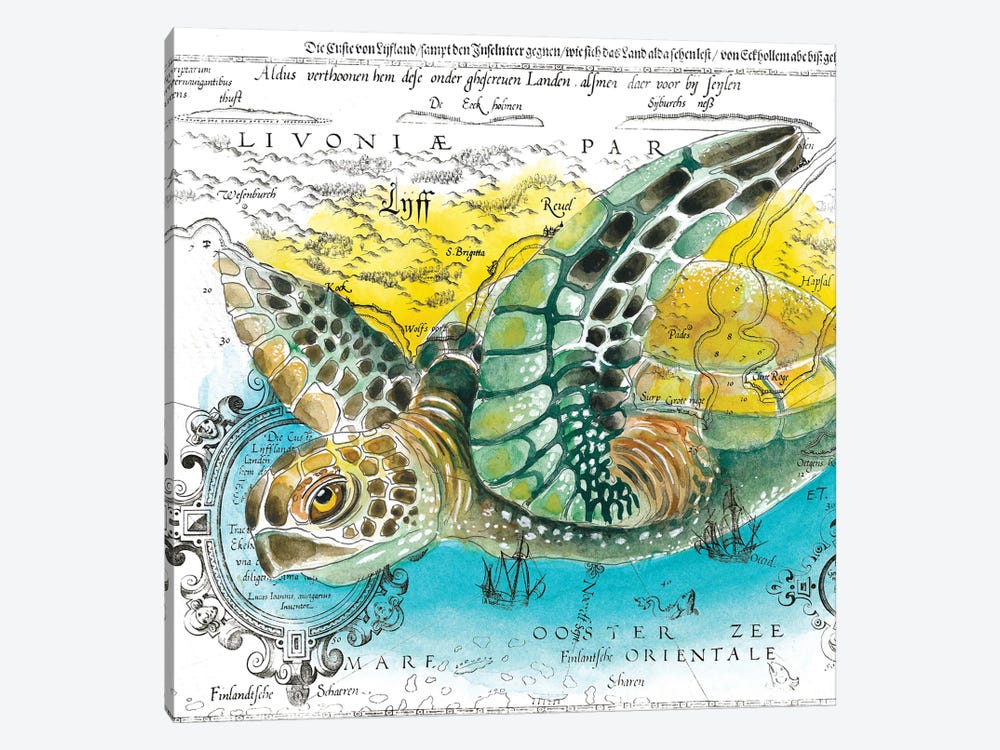 Sea Turtle Vintage Map Watercolor by Seven Sirens Studios 1-piece Canvas Artwork