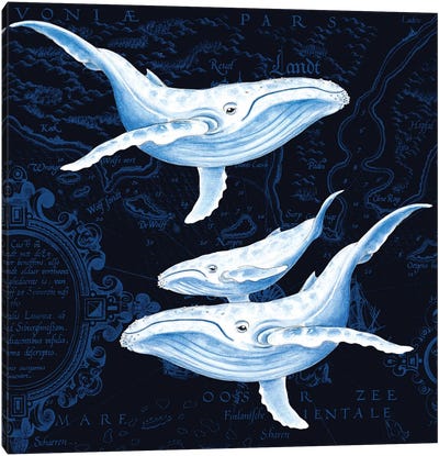 Blue Whales Family Vintage Map Indigo Canvas Art Print - Nautical Maps