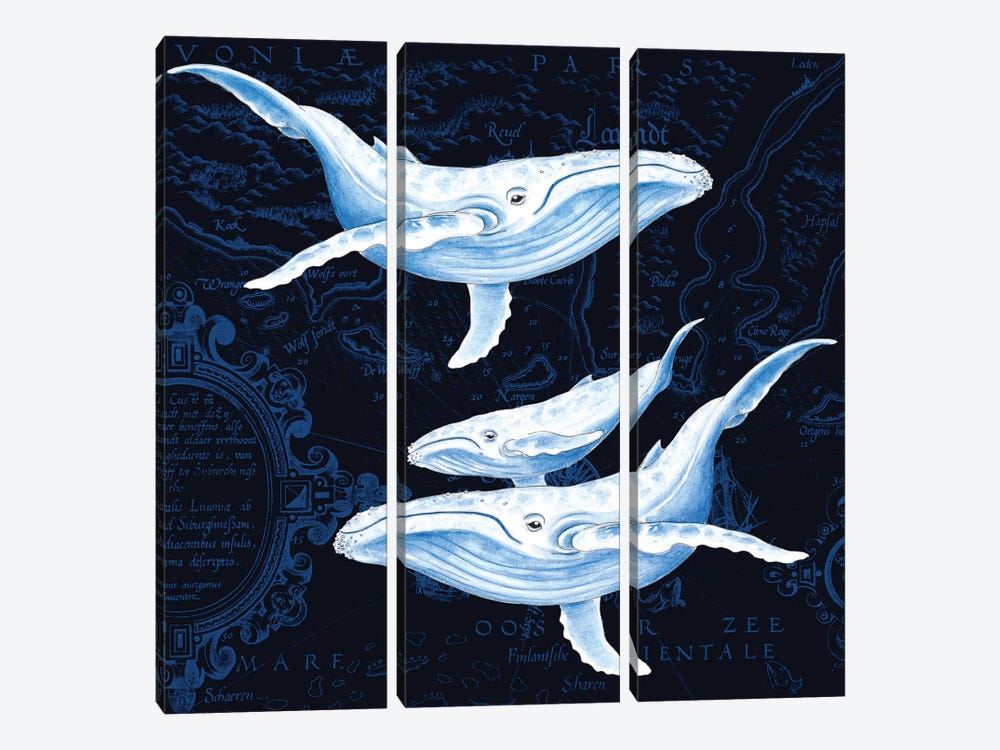 Blue Whales Family Vintage Map Indigo by Seven Sirens Studios 3-piece Art Print