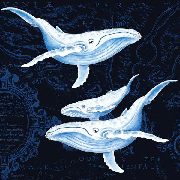 Seven Sirens Studios: Blue Whales Family Vintage Map Indigo by Seven Sirens Studios