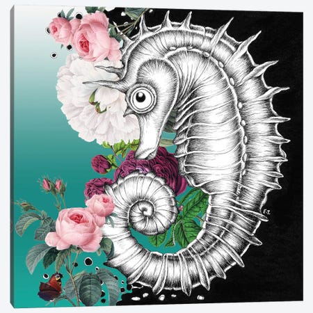 Seahorse Aqua Roses Teal Ink Canvas Print #SSI110} by Seven Sirens Studios Canvas Artwork