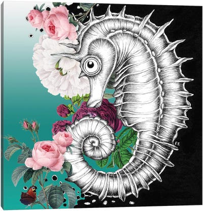 Seahorse Aqua Roses Teal Ink Canvas Art Print - Seahorse Art