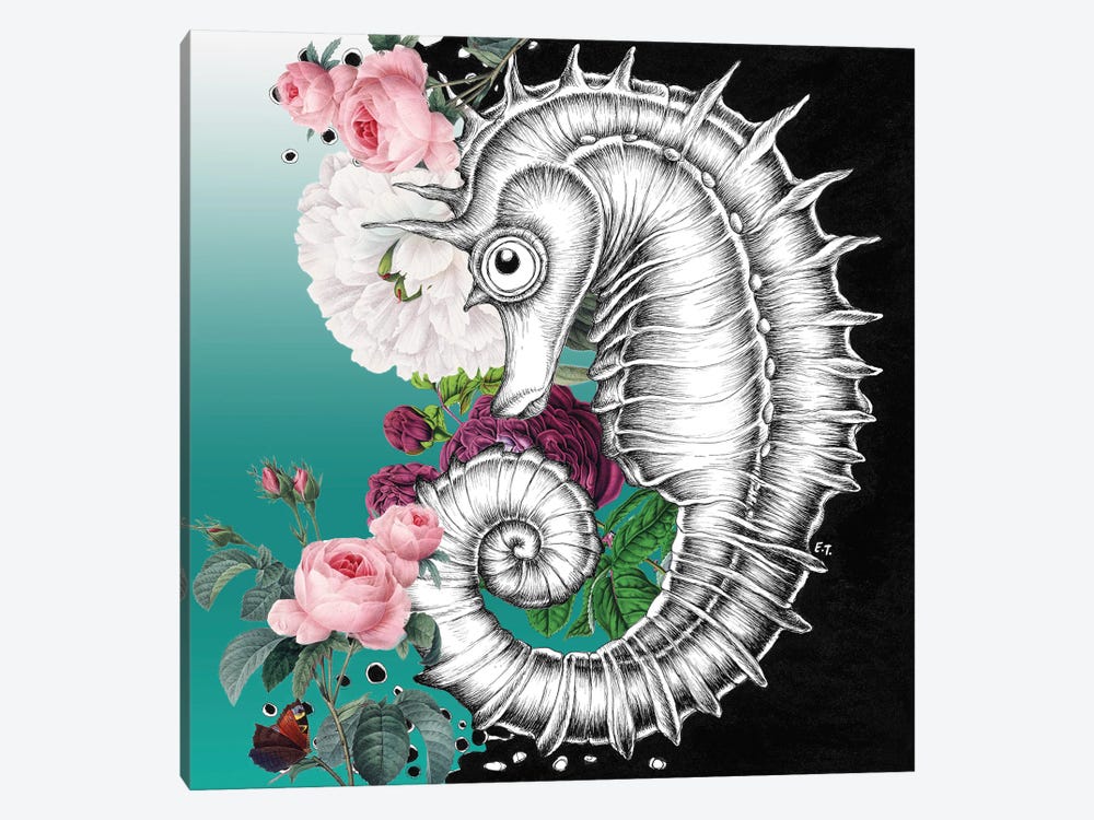 Seahorse Aqua Roses Teal Ink by Seven Sirens Studios 1-piece Canvas Wall Art