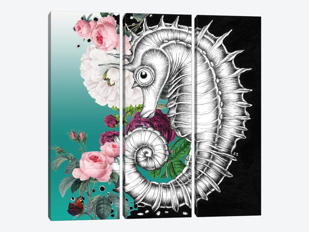 Seahorse Aqua Roses Teal Ink by Seven Sirens Studios 3-piece Canvas Wall Art